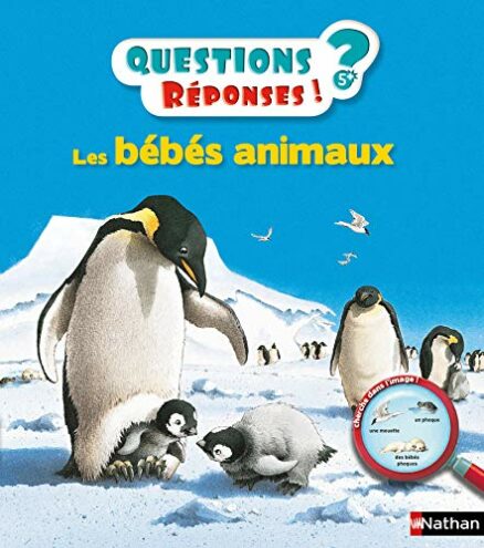 LES BÉBÉS ANIMAUX - QUESTIONS/RÉPONSES - DOC DÈS 5 ANS (09)