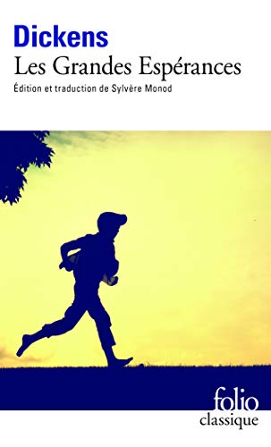 LES GRANDES ESPÉRANCES