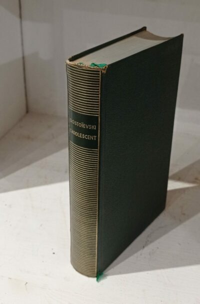 L'ADOLESCENT