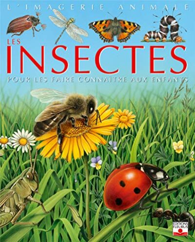 LES INSECTES : POUR LES FAIRE CONNAรTRE AUX ENFANTS