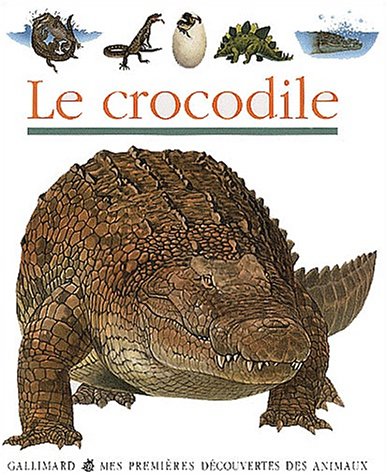 MES PREMIÈRES DÉCOUVERTES