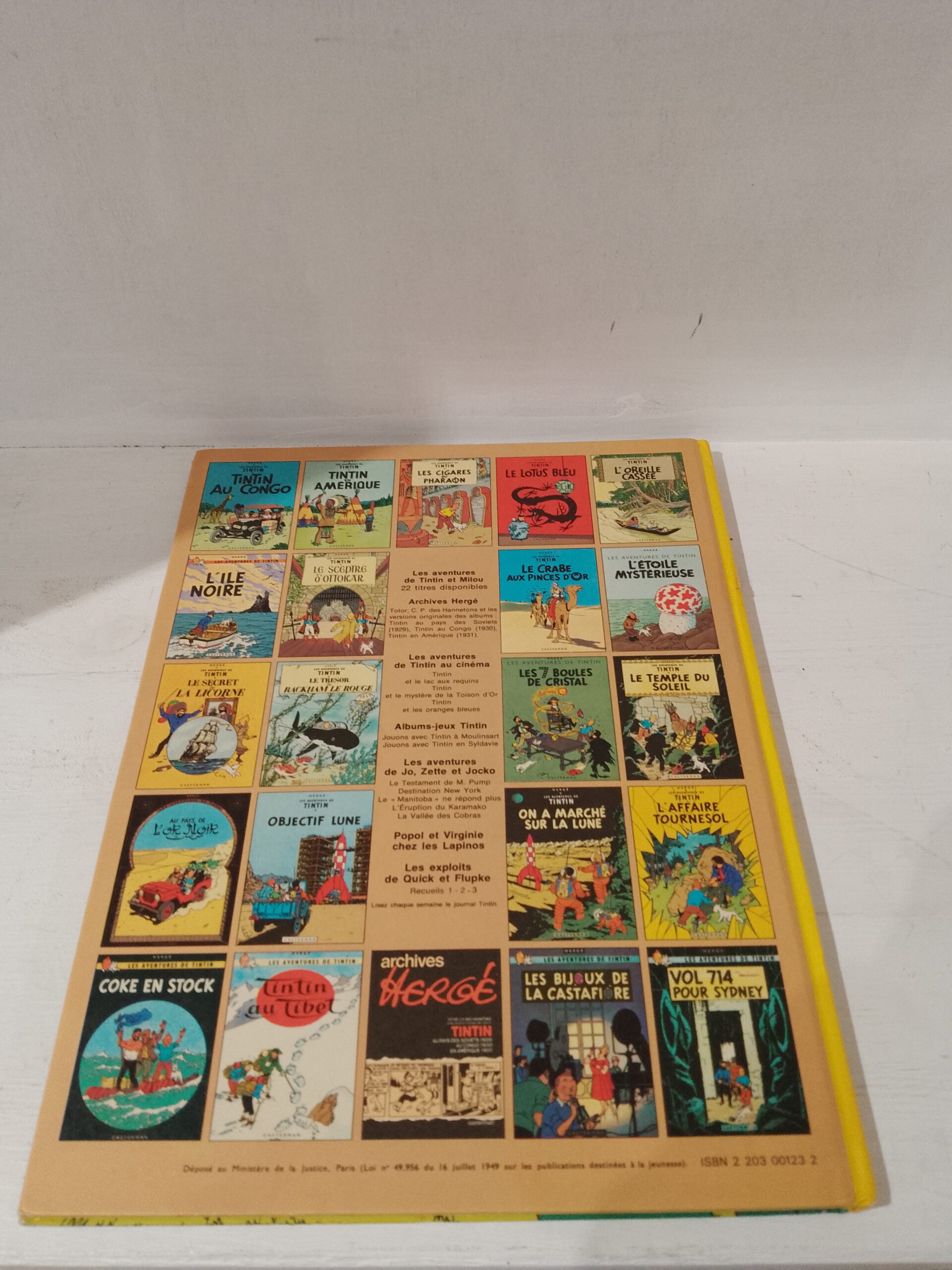 TINTIN ET LES PICAROS – Image 3