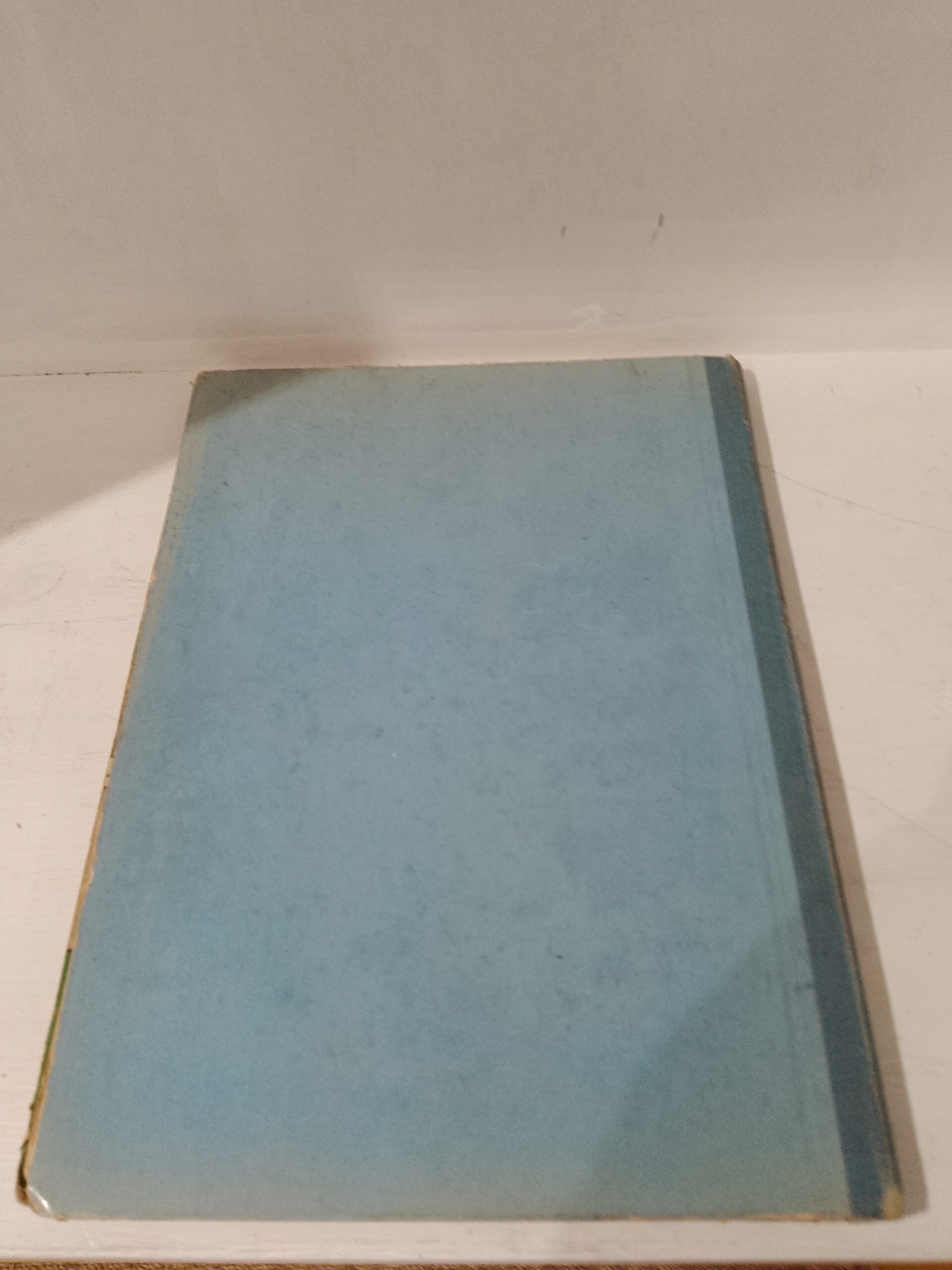 BICOT TOME 11 - BICOT ET SON 1/2 CHIEN – Image 6