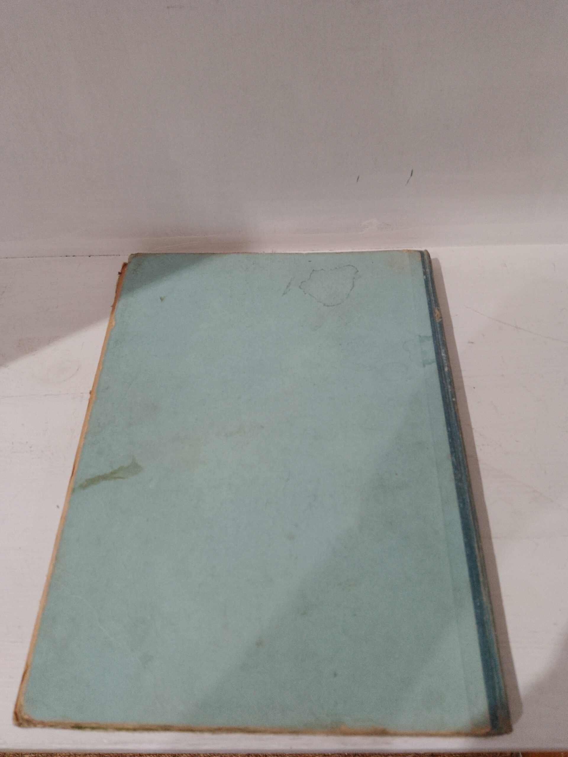 BICOT TOME 4 - LES FARCES DE BICOT – Image 4