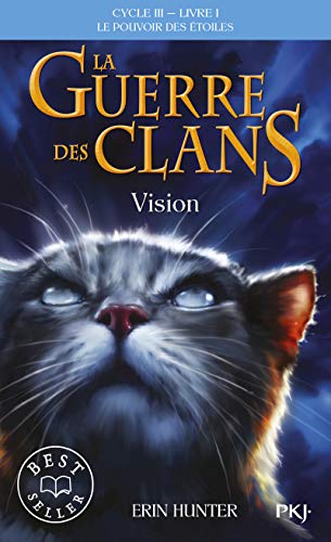 VISION