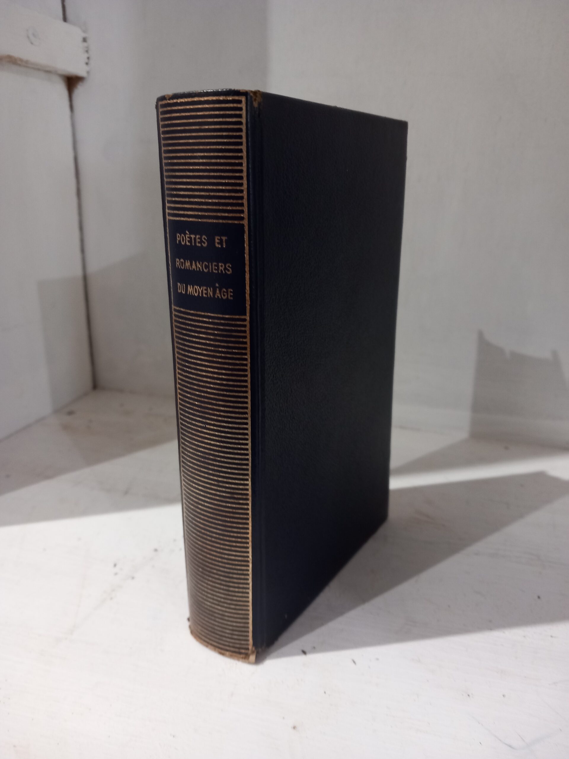 POÈTES ET ROMANCIERS DU MOYEN-AGE
