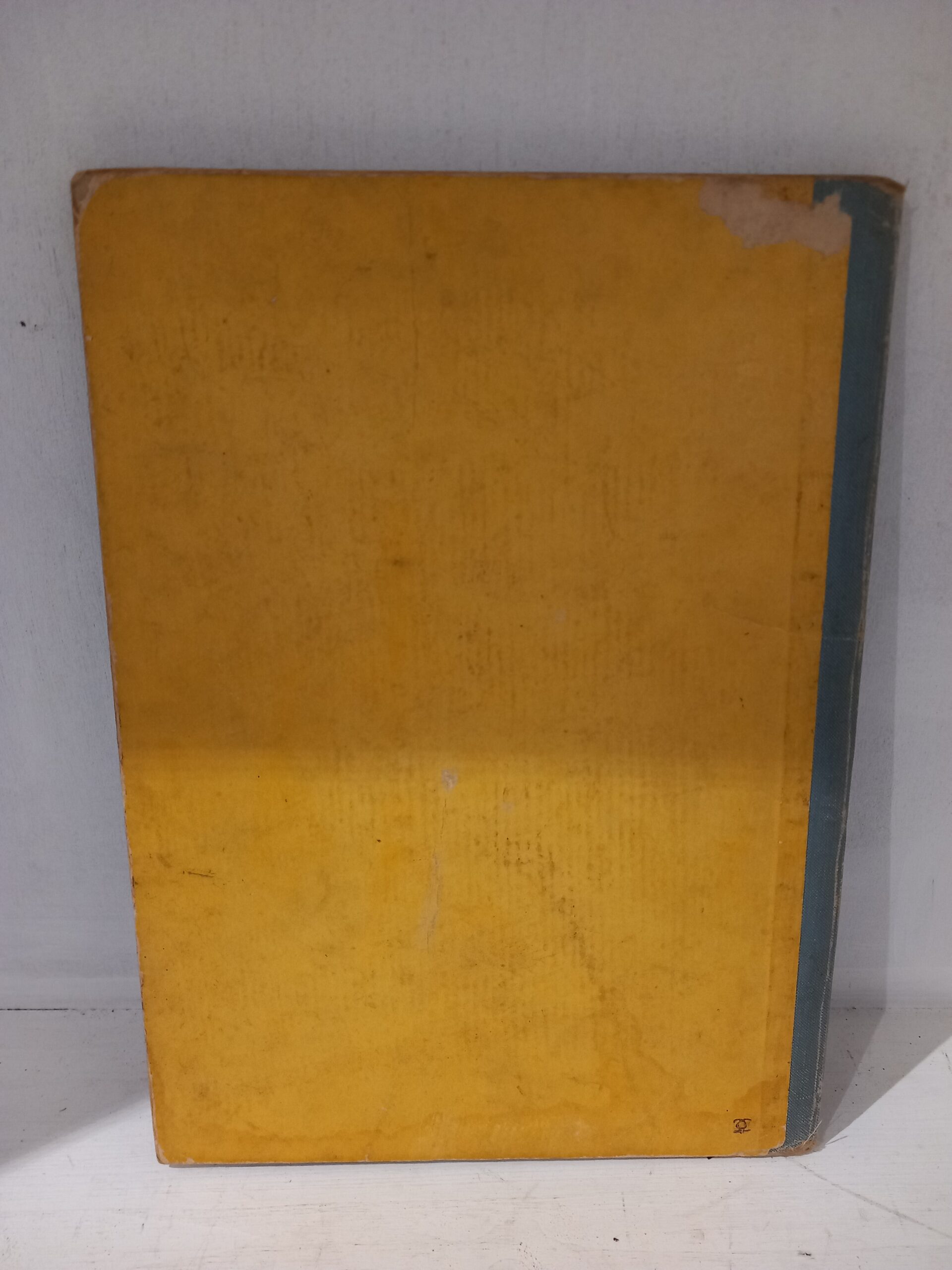 ZIG ET PUCE AUX INDES – Image 4