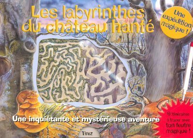 LES LABYRINTHES DU CHATEAU HANTÉ