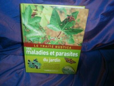 LE JARDIN, LE POTAGER, LES ARBRES FRUITIERS