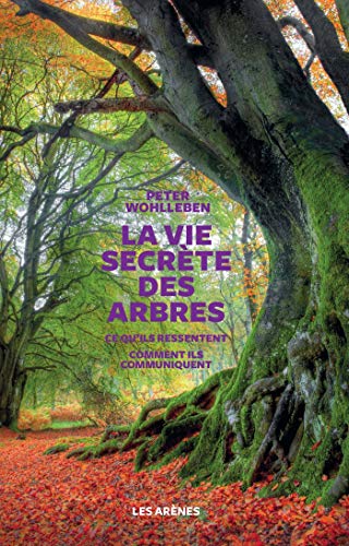 LA VIE SECRÈTE DES ARBRES – Image 2