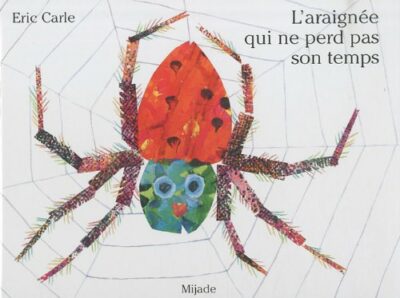 L'ARAIGNÉE QUI NE PERD PAS SON TEMPS