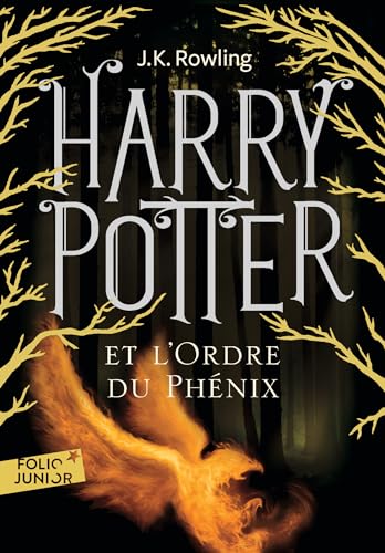 HARRY POTTER ET L'ORDRE DU PHÉNIX