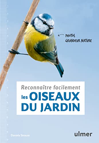 RECONNAÎTRE FACILEMENT LES OISEAUX DU JARDIN