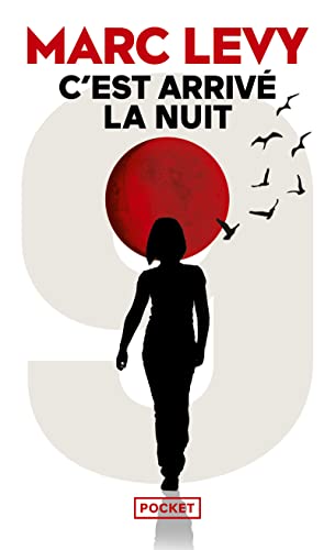 C'EST ARRIVÉ LA NUIT – Image 2