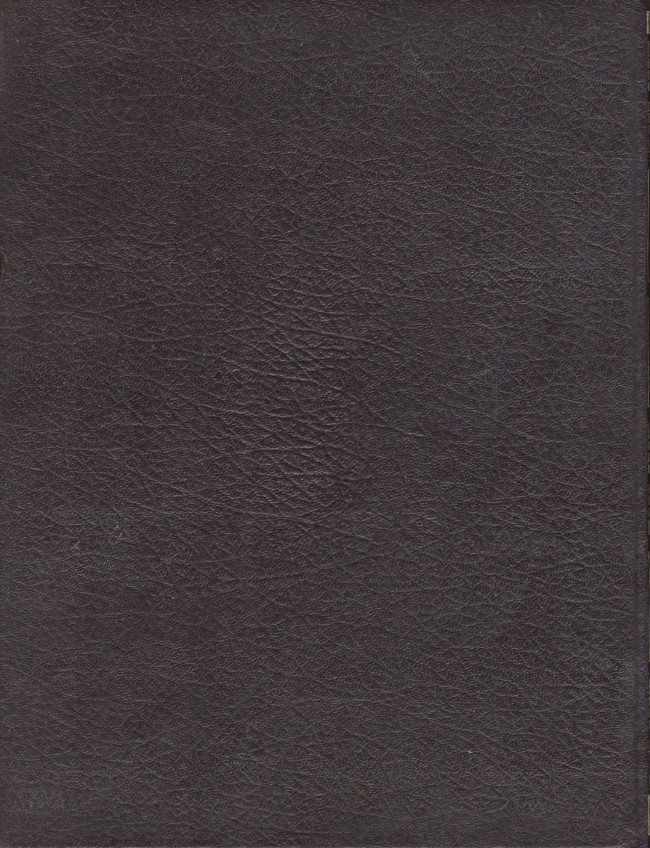 VOLUME 6 - ASTÉRIX CHEZ LES BELGES - ASTÉRIX (DARGAUD-ROMBALDI) 6 – Image 2