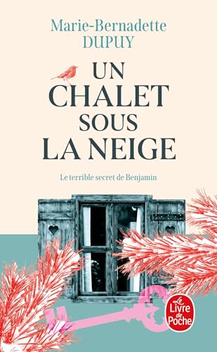 UN CHALET SOUS LA NEIGE