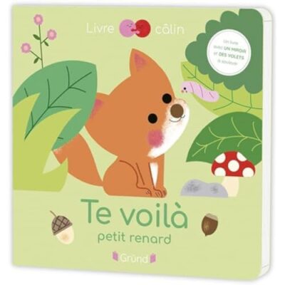 TE VOILÀ, PETIT RENARD !
